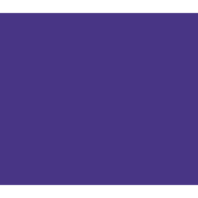 500 ml - Purple - 917