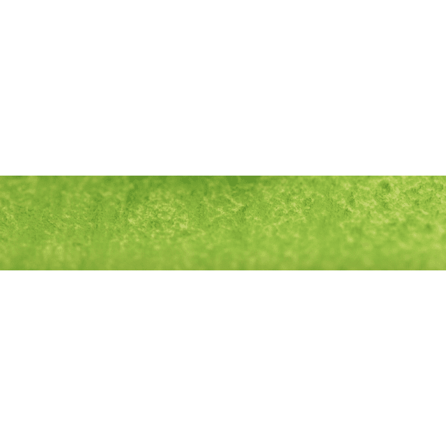 Verde Manzana 205