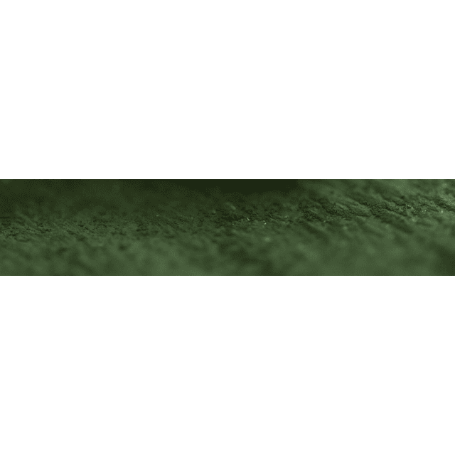 Gris verde musgo 167