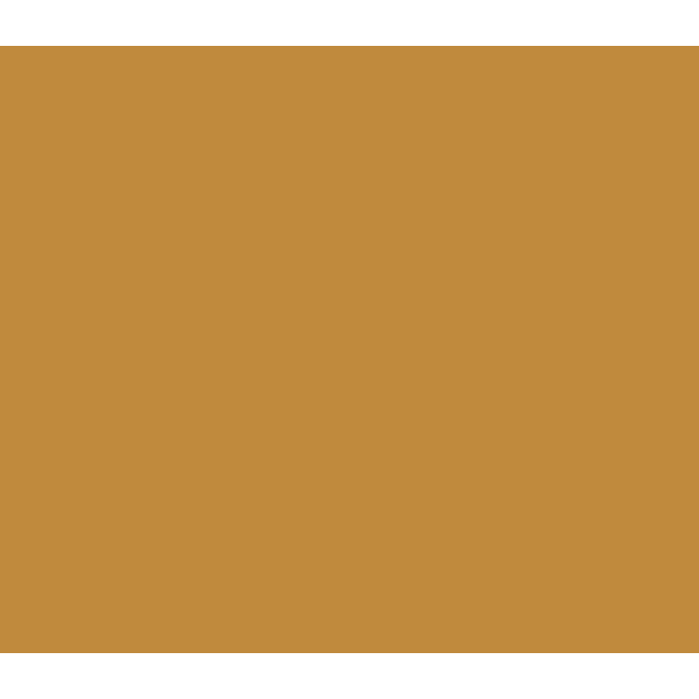 Raw Sienna - 208