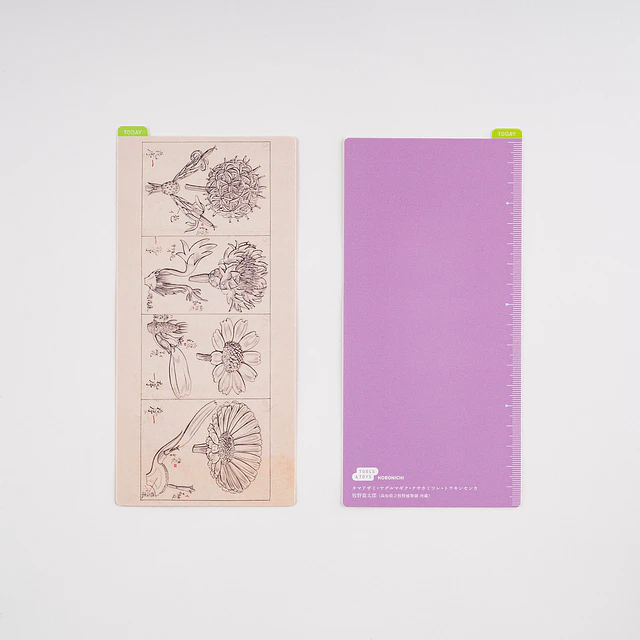 Hobonichi