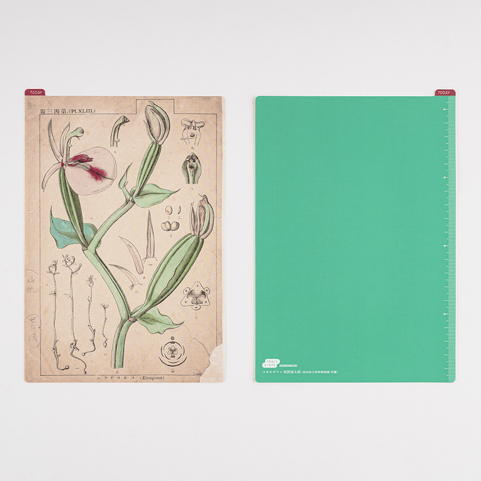 Tomitaro Makino: Hobonichi Pencil Board ( 3 tamaños ) 4