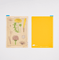 Tomitaro Makino: Hobonichi Pencil Board ( 3 tamaños ) - Miniatura 3