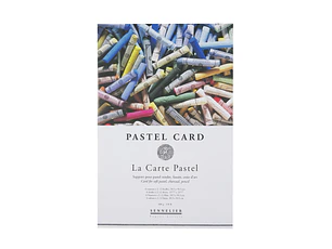 PASTEL CARD - Bloc encolado - 12 hojas (2 x 6 colores)
