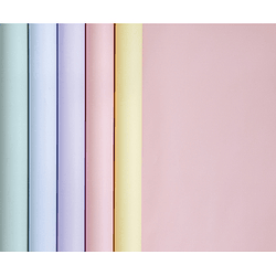 Papel de regalo - 5 m x 0.35 m Colores pastel