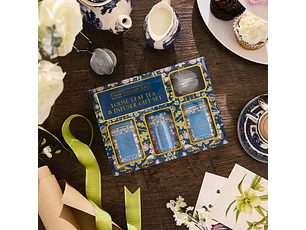 Set de regalo de mini lata de té e infusor