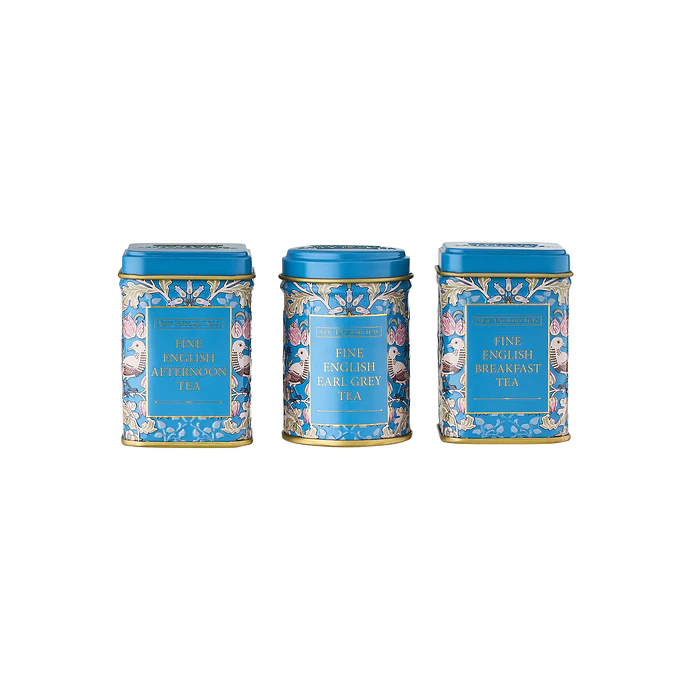 Set de regalo de mini lata de té e infusor 4
