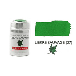 Cilindro - Lierre Sauvage (37)