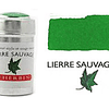 Cilindro - Lierre Sauvage (37)