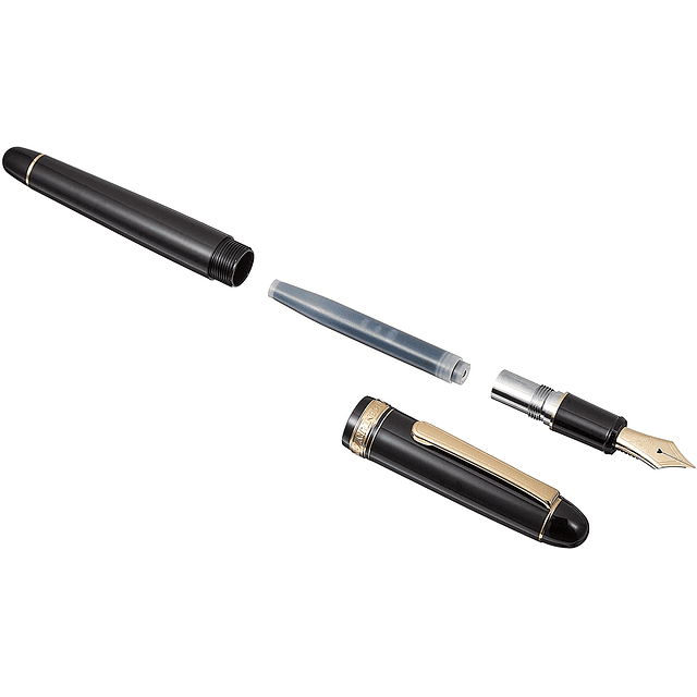 Platinum #3776 Century Fountain Pen - Black/Gold