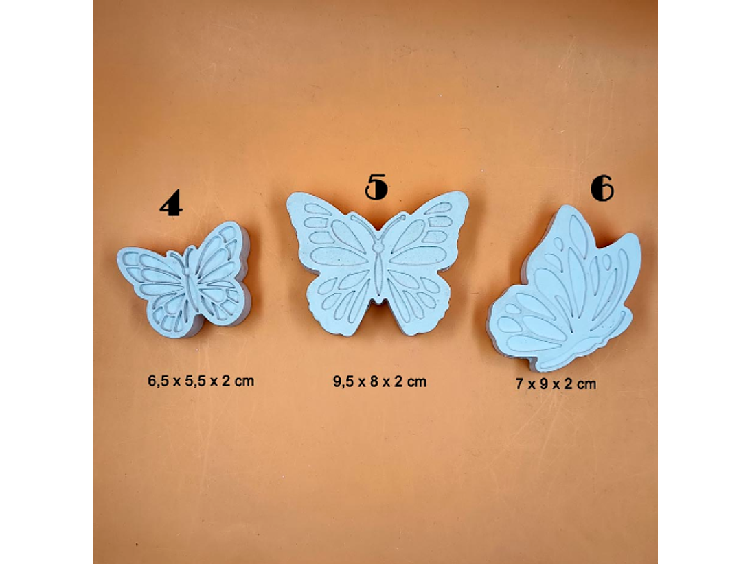 Mariposas y Bichos (2D) 5