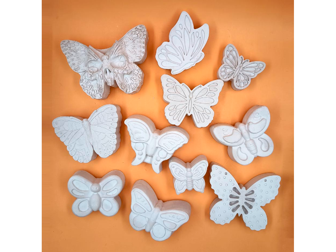 Mariposas y Bichos (2D) 1