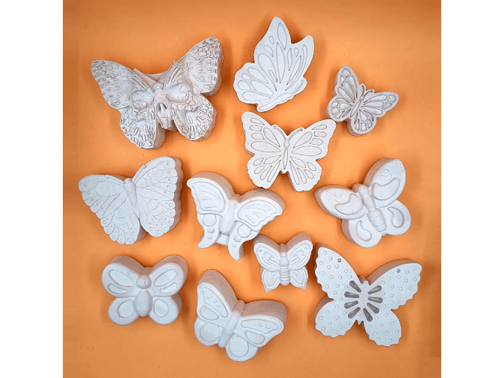 Mariposas y Bichos (2D) 1