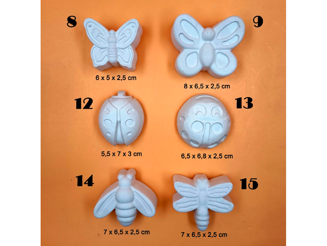 Mariposas y Bichos (2D) 7