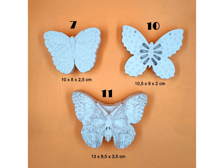 Mariposas y Bichos (2D) 6