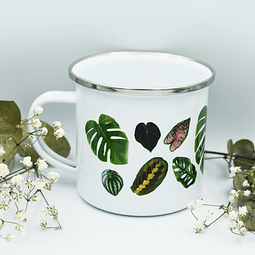 Taza enlozada Plantas de Interior