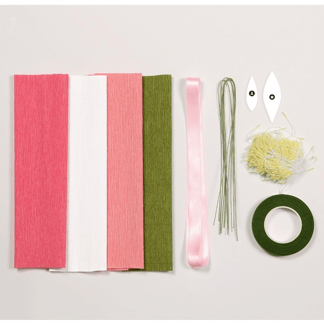 Kit DIY Papel Crepé – Corona Floral Hecha a Mano Clairefontaine