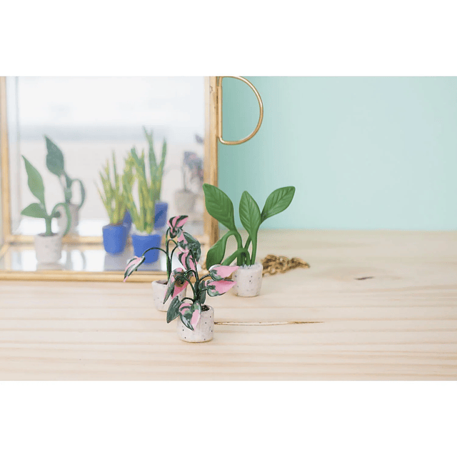 Kit Cernit Mini Plantas en Arcilla Polimérica – DIY 45 min | Set para Crear Mini Plantas Decorativas