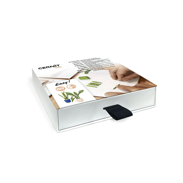 Kit Cernit Mini Plantas en Arcilla Polimérica – DIY 45 min | Set para Crear Mini Plantas Decorativas