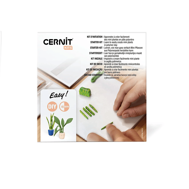 Kit Cernit Mini Plantas en Arcilla Polimérica – DIY 45 min | Set para Crear Mini Plantas Decorativas