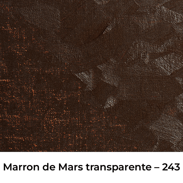 Óleos Tierras y Marrones Blockx 20 ml