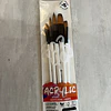 Set de 5 Pinceles Medianos Darwi For You para Pintura Acrílica
