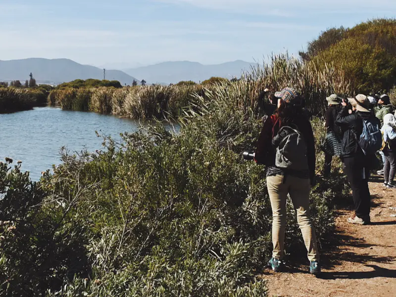 📍 Humedal Río Elqui, La Serena