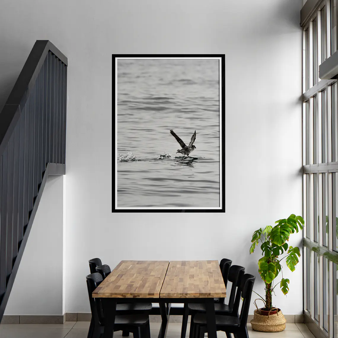 Petrel alzando el vuelo 1