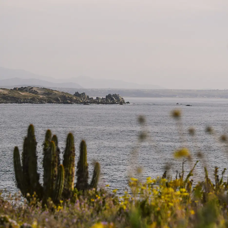 Paisajes
