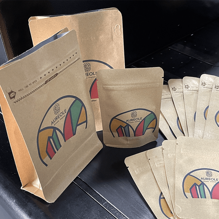 Impresion Bolsa Papel 3