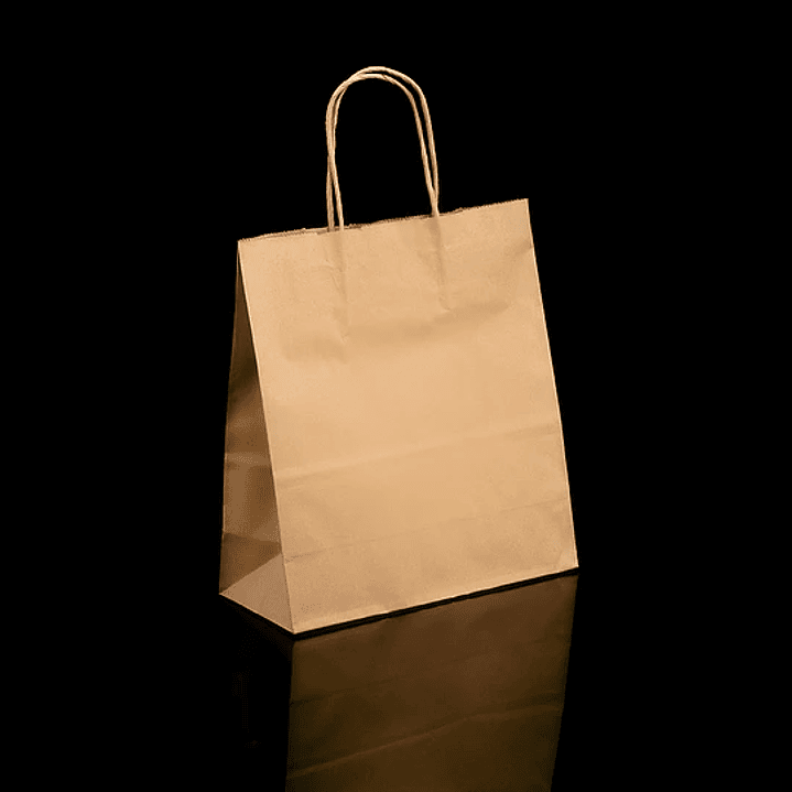 BOLSA DE PAPEL KRAFT 22X10X25 MANILLA TORCIDA 2