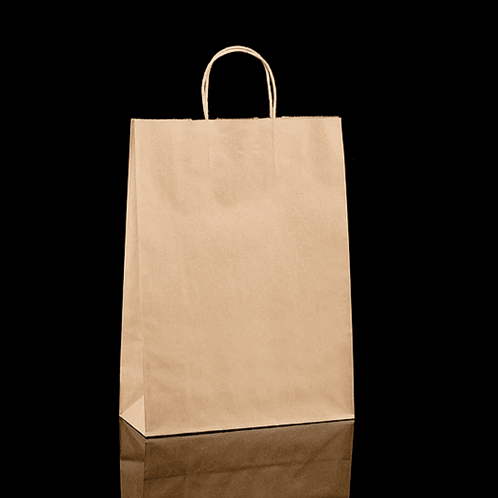 BOLSA DE PAPEL KRAFT 30X12X41 TOR 2