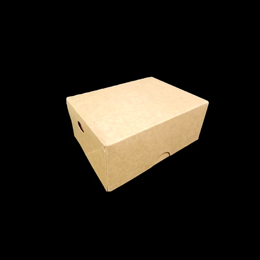 CAJA  CHICA 2