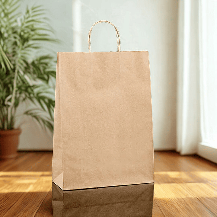 BOLSA DE PAPEL KRAFT 30X12X41 TOR 1