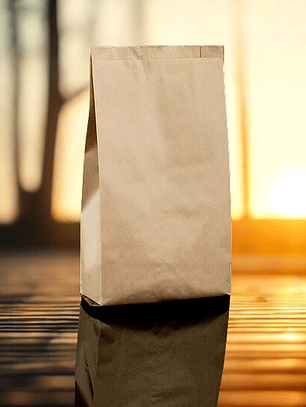 SACO PAPEL KRAFT 2 KILO