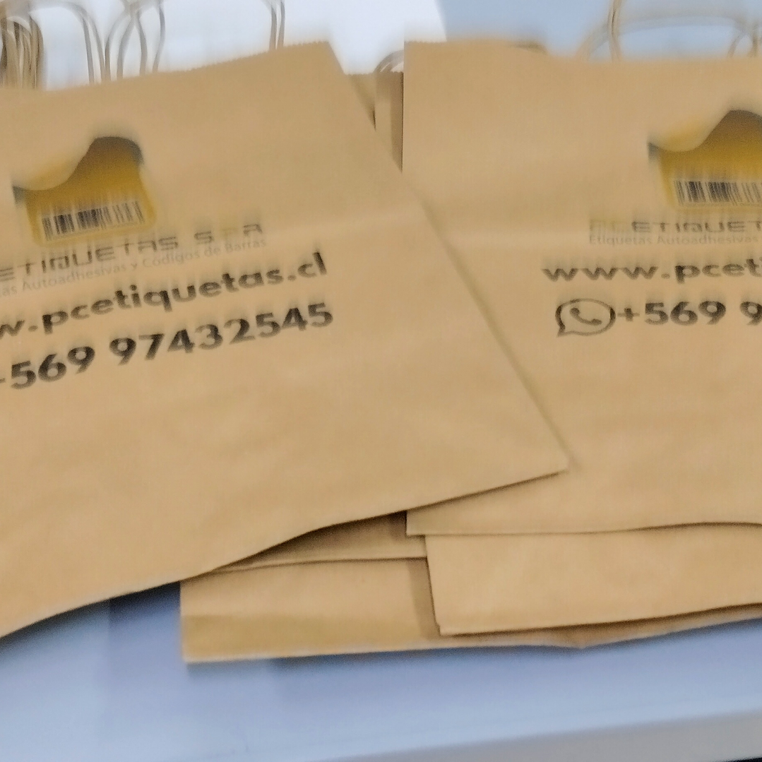 Impresion Bolsa Papel 1