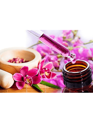 Agendamento terapia Flores de Bach