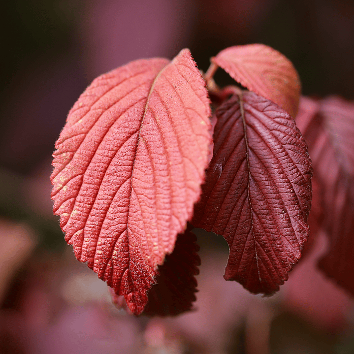 Exportación a Excel 1