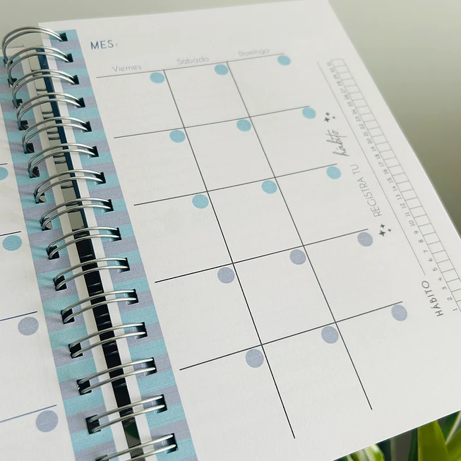 Planner Magic 4