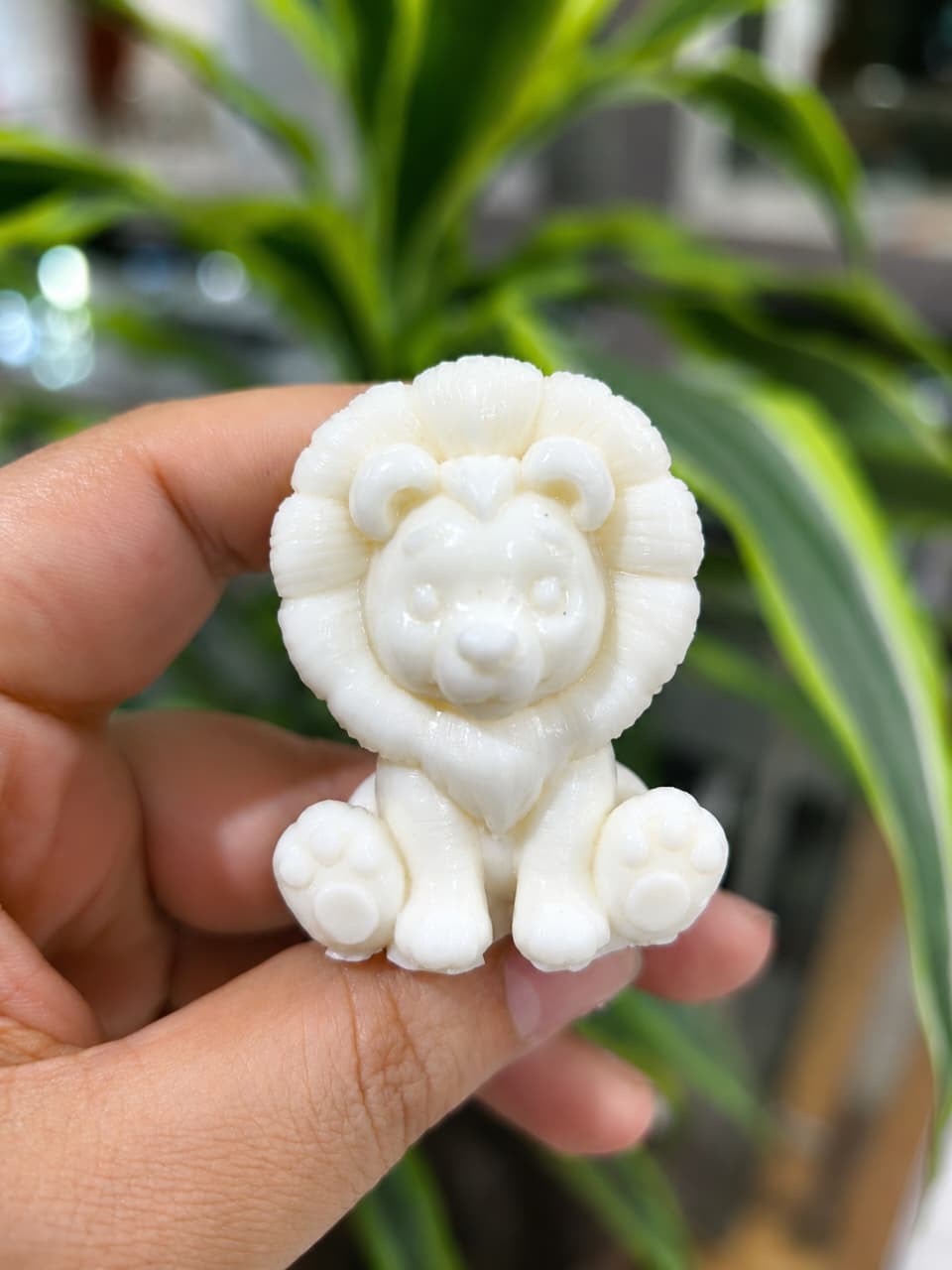 LEÓN MELENA 3D S 1
