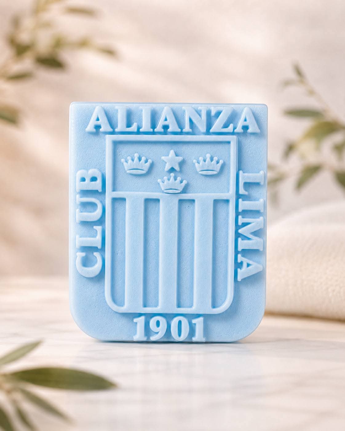 ALIANZA 1 1