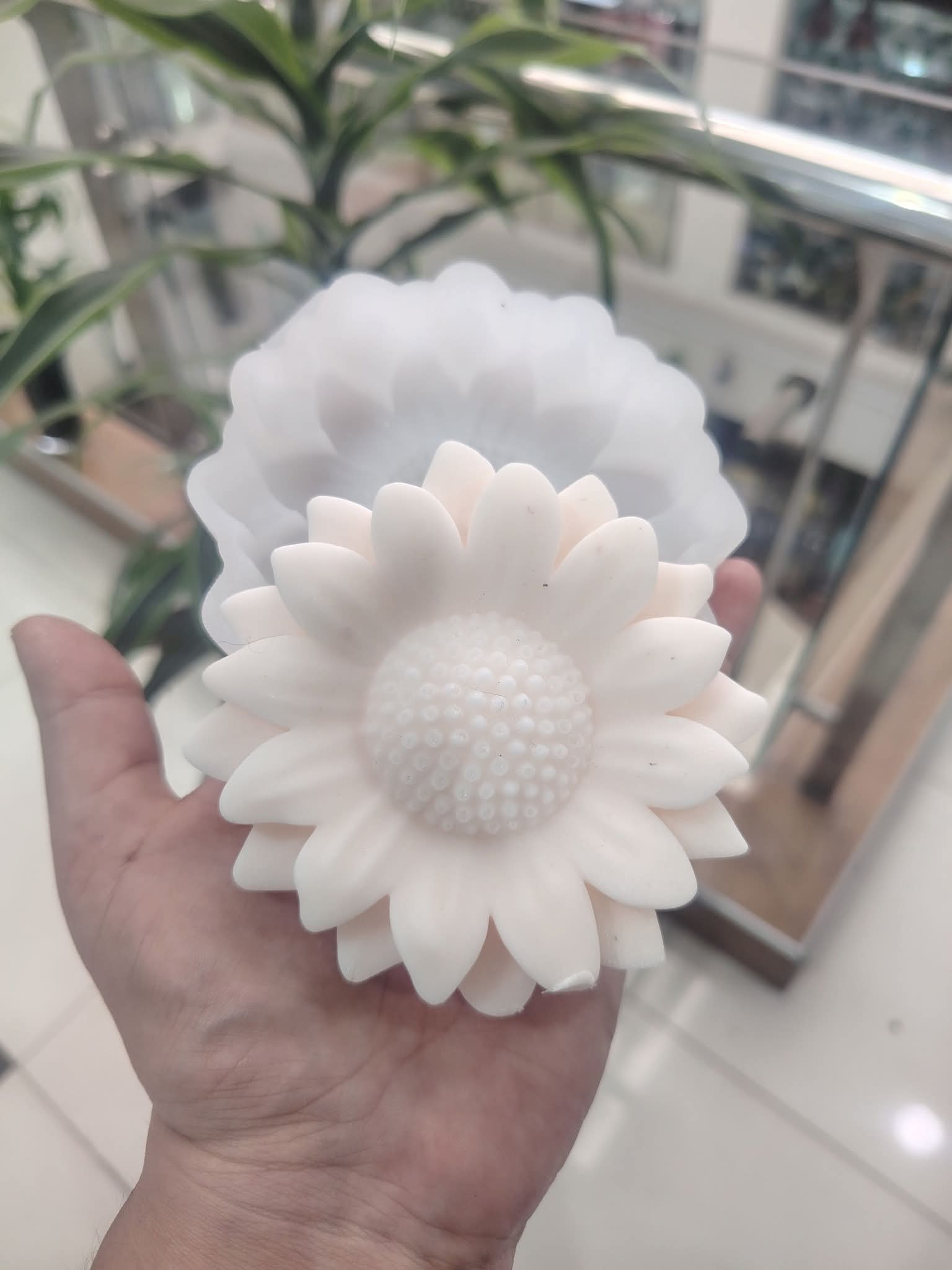 GIRASOL G 1