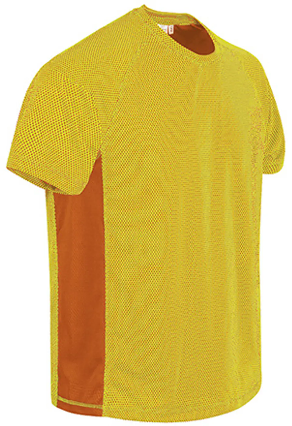 Camiseta técnica MARATHONER 2