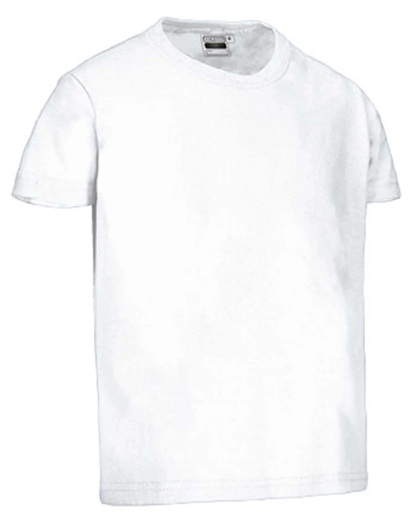 Camiseta infantil M/C DINO 1