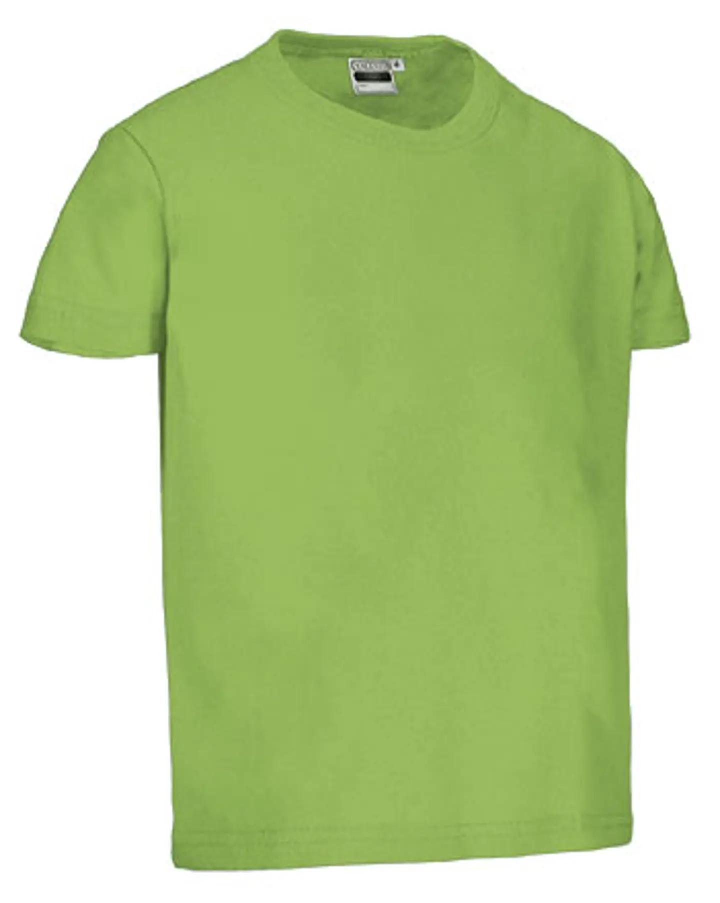 Camiseta infantil M/C DINO 2
