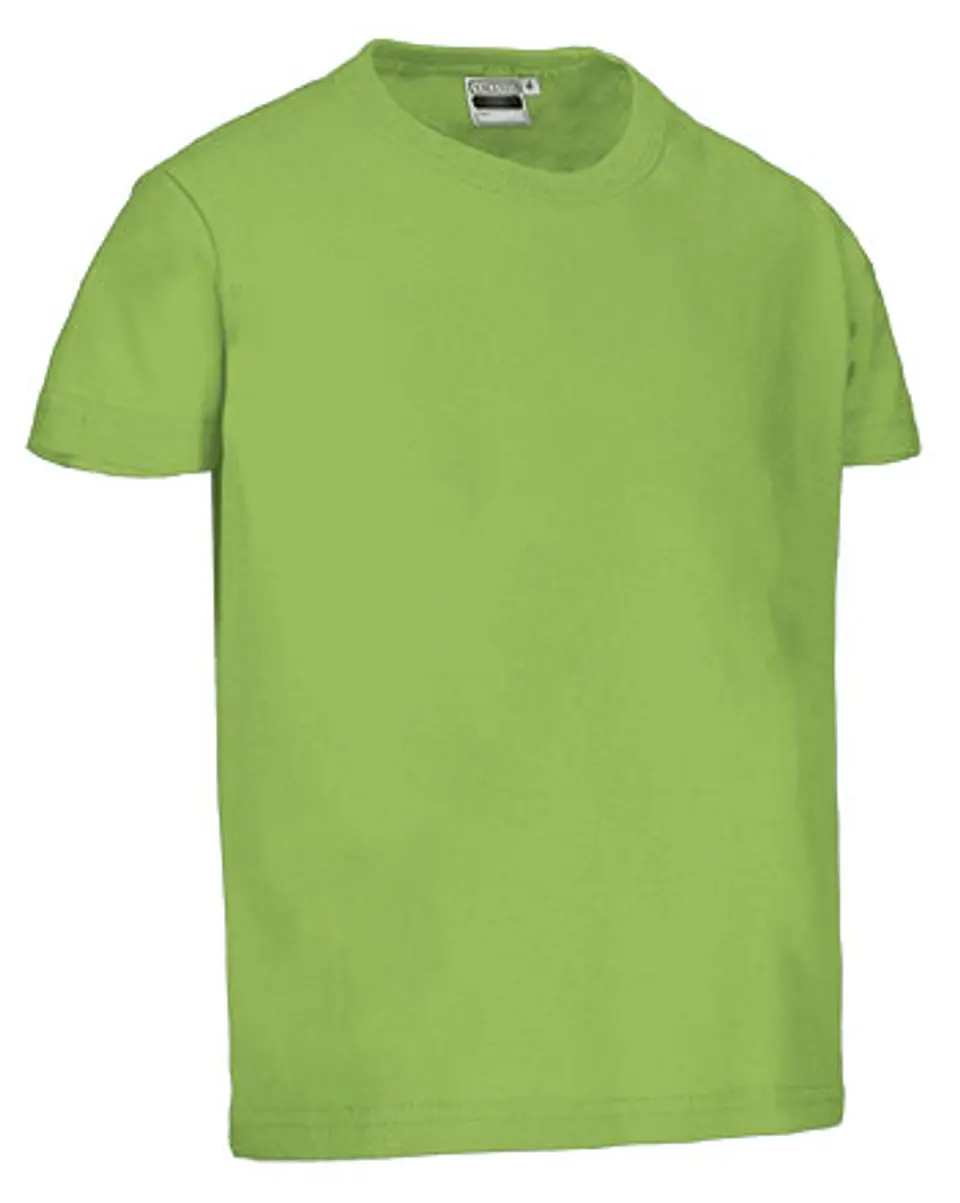 Camiseta infantil M/C DINO 2