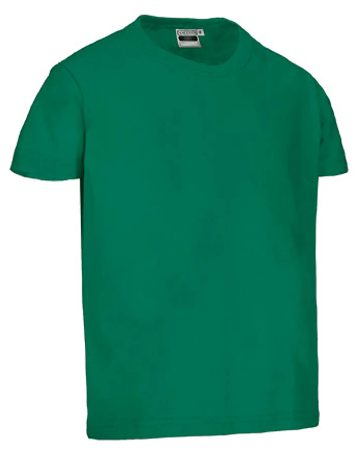 Camiseta infantil M/C DINO 3