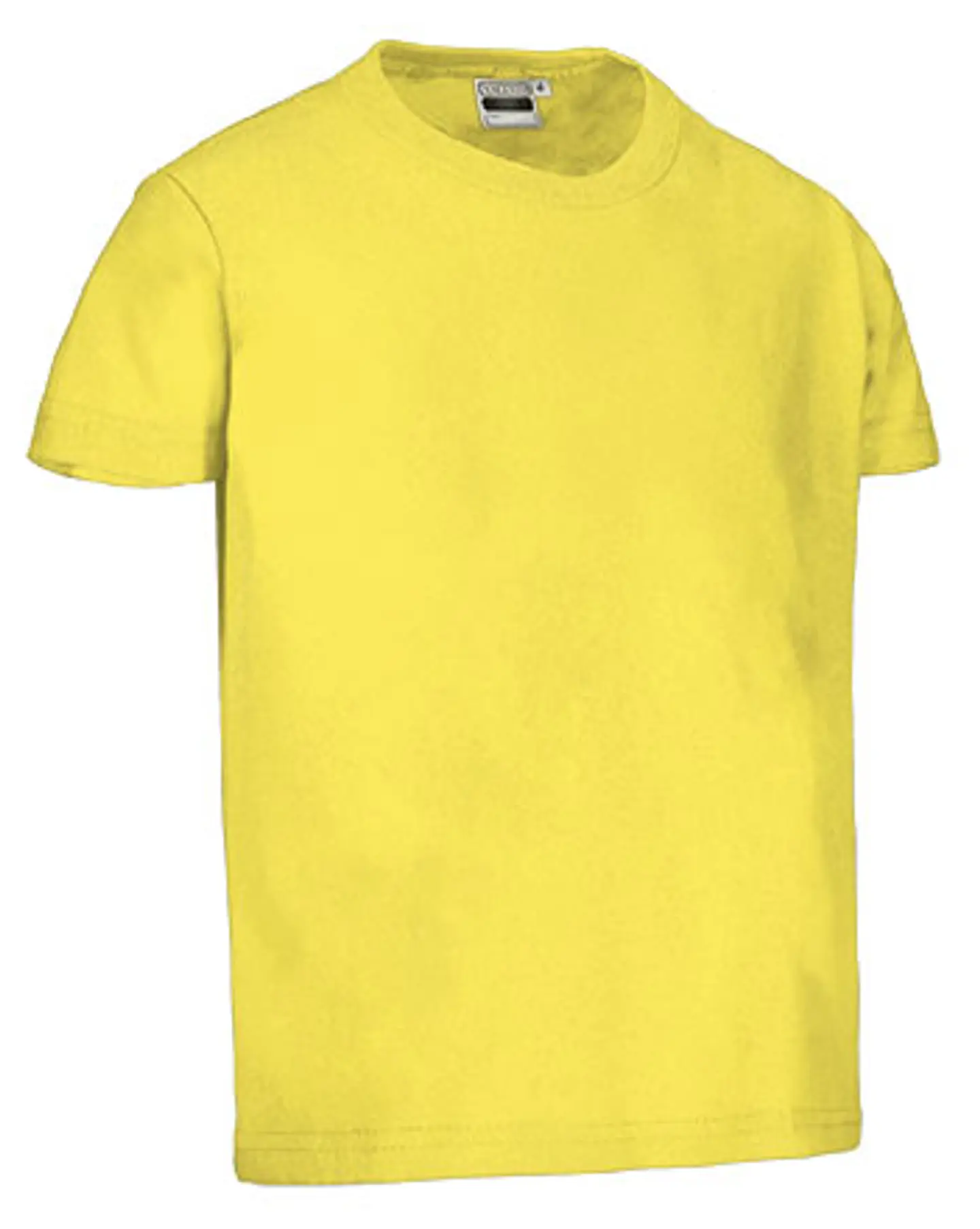 Camiseta infantil M/C DINO 4