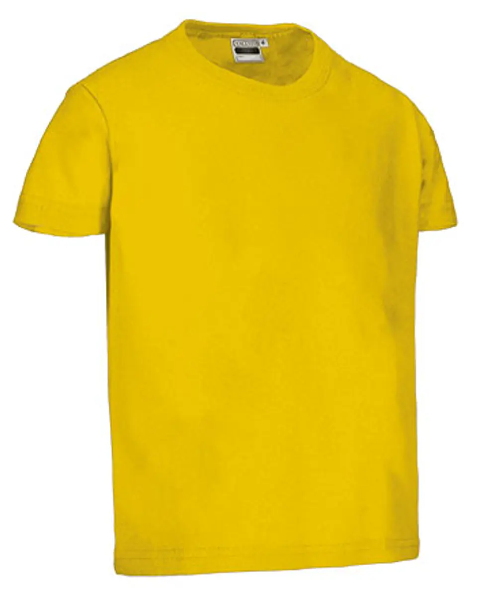 Camiseta infantil M/C DINO 5