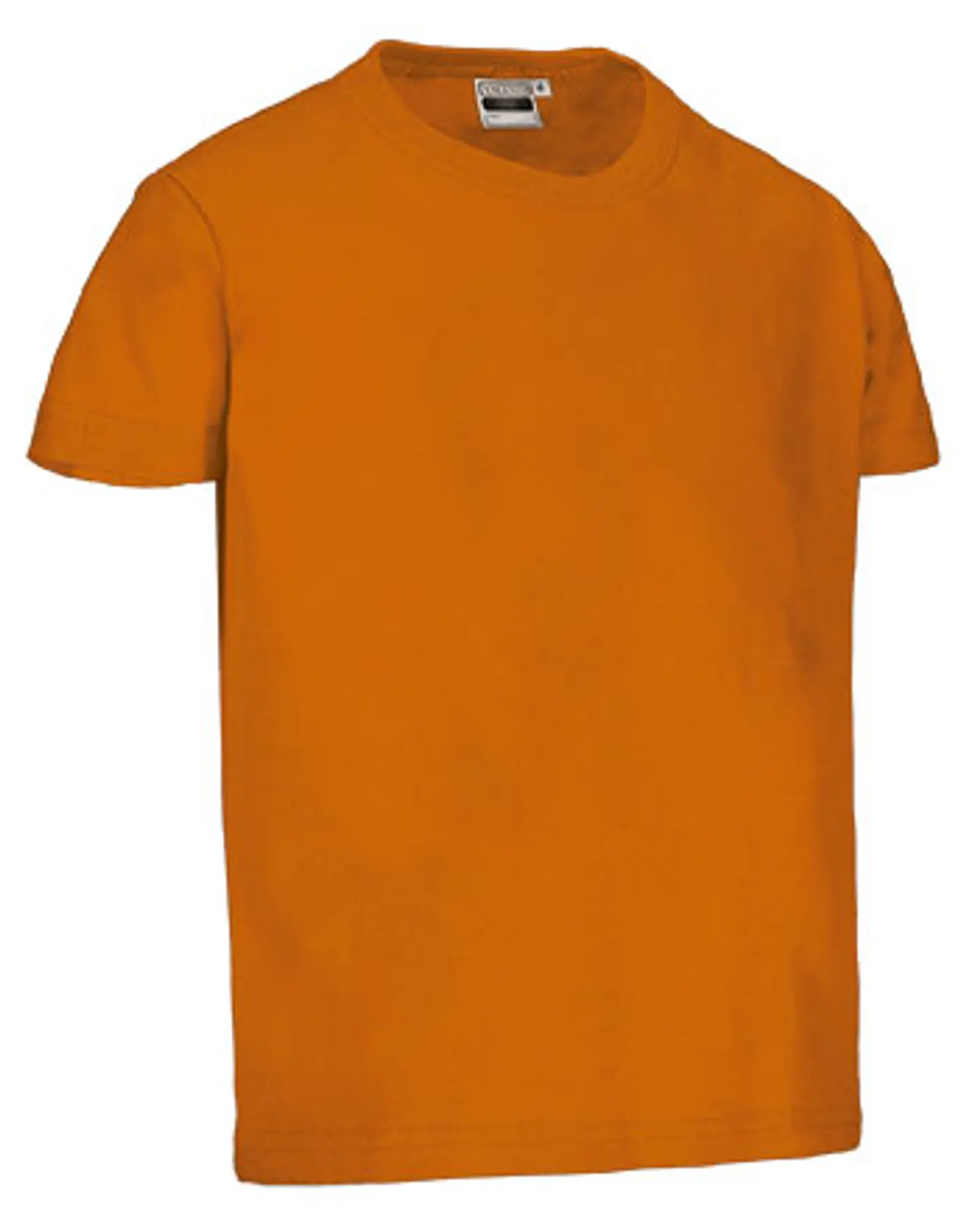 Camiseta infantil M/C DINO 6